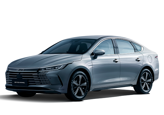 BYD BYD King